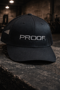 THE LATE SHIFT HAT